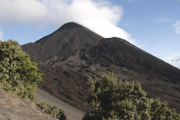 Private Tour One Day Hike - Pacaya Volcano