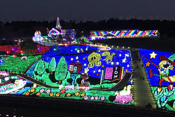 Small-Group German Village Winter Light Show in Tokyo
