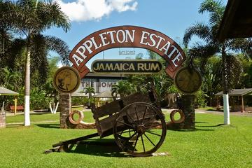 Appleton Estate Rum Tour and Tasting from Ocho Rios