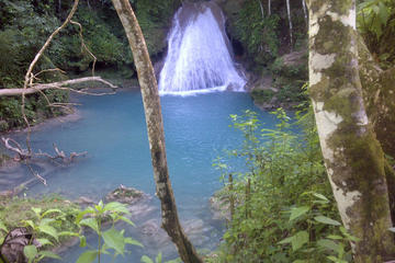 Blue Hole and River Gully Rainforest Adventure Tour from Falmouth