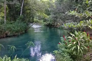 Blue Hole and River Gully Rainforest Adventure Tour from Montego Bay