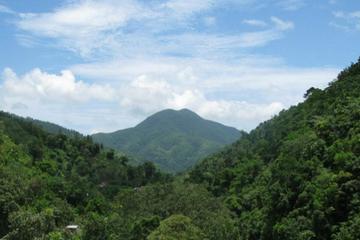 Blue Mountain Bicycle Tour from Runaway Bay