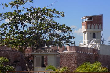 Blue Mountains, Port Royal and Kingston 2-Day Tour from Runaway Bay