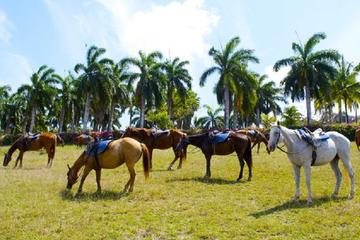 Braco Stables Hiking and Biking Tour Tour from Falmouth