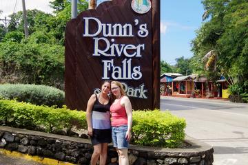 Dunn's River Falls and Fern Gully Highlight Adventure Tour from Kingston