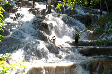 Dunn's River Falls and Fern Gully Highlight Adventure Tour from Ocho Rios