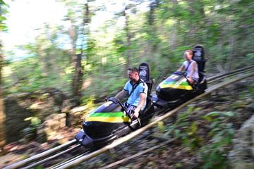 Jamaica Bob Sled, Blue Hole & Bob Marley Nine Miles, 3 Tours from Ocho Rios