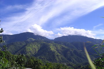 Jamaica's Blue Mountain Hike & Coffee Tour from Runaway Bay