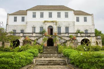 Luminous Lagoon and Rose Hall Haunted Night Tour from Montego Bay