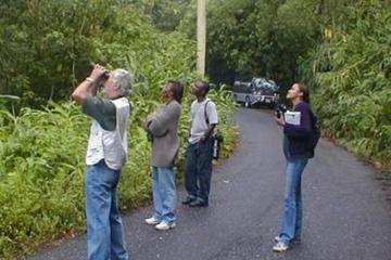 Mile End Walking Tour from Ocho Rios