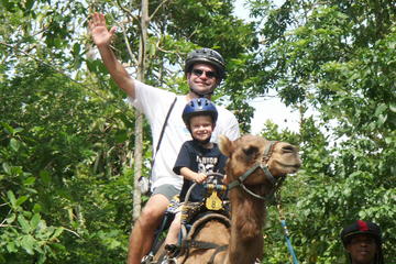 Outback Camel Adventure Tour from Runaway Bay