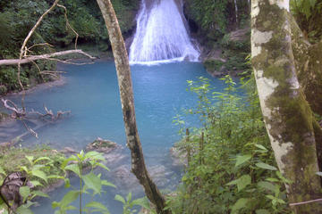 Private Blue Hole and River Gully Rainforest Adventure Tour from Montego Bay