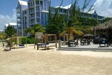 Private Dunn's River Falls Tour and Blu Beach Experience