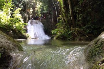 Private Fern Gully, Blue Hole and Bamboo Blu Beach Experience from Ocho Rios