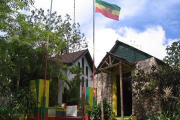 Private Full-Day Tour to Blue Hole Fern Gully and The Bob Marley Home and Mausoleum, from Kingston