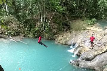Private Full-Day Tour to the Blue Hole and River Gully Rain Forest from Kingston