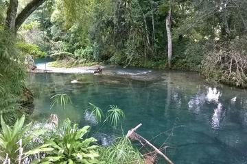 Private Tour: Blue Hole and Fern Gully Rain Forest Adventure from Negril