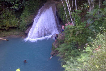 Private Tour: Blue Hole and Fern Gully Rain Forest Adventure from Ocho Rios