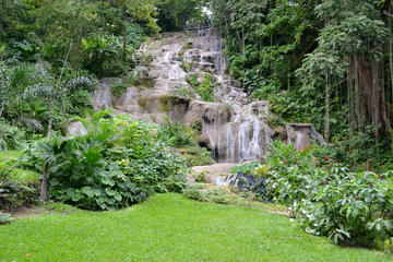 Shared Konoko Falls and Tropical Garden Tour from Runaway Bay