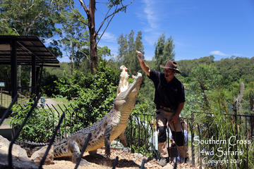 Private Shoalhaven Zoo Experience from Sydney