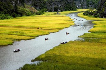 Hoa Lu Tamcoc 1 day trip
