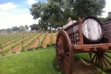 Private Winery Visit and Tour of Ronda from Marbella