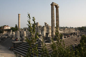 Private Ephesus Miletus Dydima Tour from Port Kusadasi