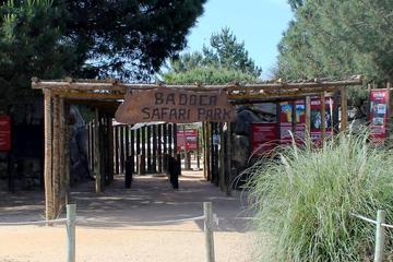 Badoca Safari Park Day Trip from Lisbon