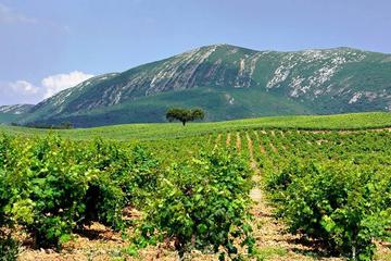 Full-Day Tour to Arrábida from Lisbon