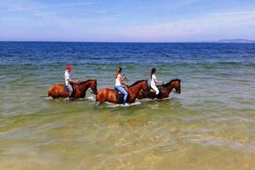 Horse Riding in Comporta