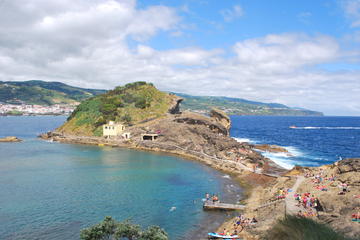 Whale Watching in the Azores - Full Day