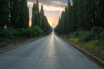 Shore Excursion: Private Half-Day Bolgheri Tour from Livorno Port
