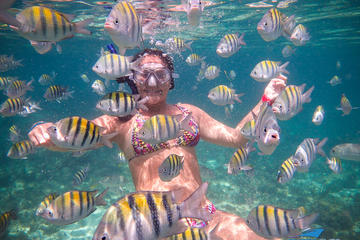 4-Hour Private Yacht Tour with Open Bar, Ceviche, and Snorkeling