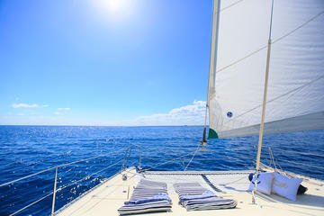 Half-Day Private Catamaran Tour with Open Bar in Playa del Carmen