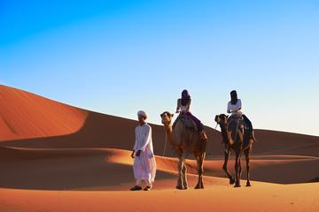 4-Night Marrakech to Fez Sahara Tour with Night in Desert Camp and Camel Trek