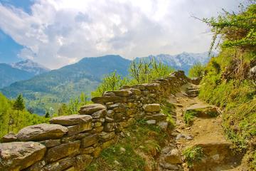 5 Days Shimla Manali Tour