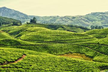 Amazing Kerala Trip