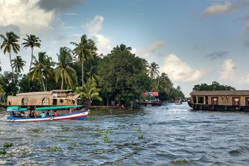 Experience Kerala