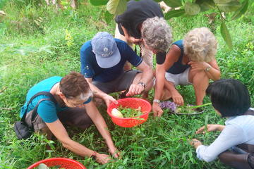 Overnight Rustic Mekong Delta Tour