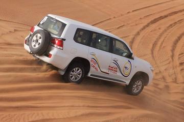Grand Safari including Snorkeling at the Blue Hole and a Camel Ride along the Gulf of Aqaba