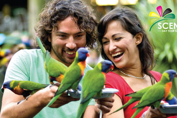 Currumbin Wildlife Sanctuary and Tropical Fruit World Day Trip from Gold Coast