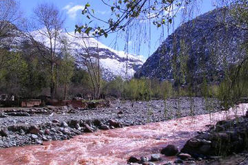 Private day trip to Telouat and Ait ben Hadou Kasbahs from Marakech