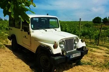 4x4 Wine Tour in the Portuguese Vinho Verde Region including Regional Picnic