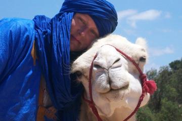 Camel Ride on the Beach of Essaouria