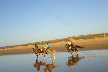 Horse Ride on the Beach in Essaouira