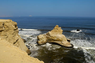 Half-Day Private Tour to Paracas Reserve from San Martin Port