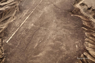 Nazca Lines and Huacachina Oasis from San Martin Port