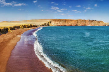 Paracas National Reserve Private Tour