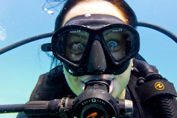 Fun Dive