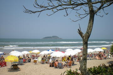 Private Tour: Coffee and Beaches Day Trip from São Paulo